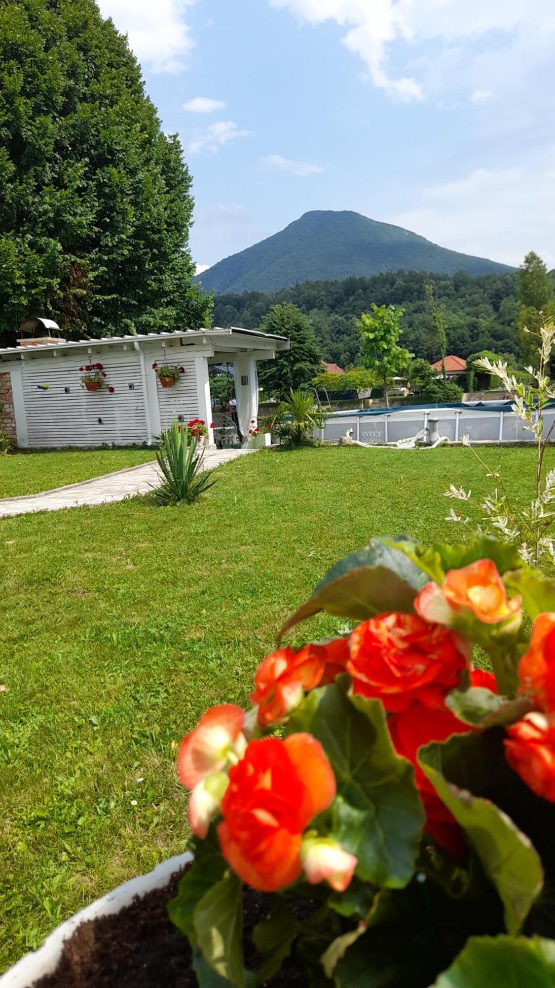 Una Luxury Home Bihać Eksteriør billede